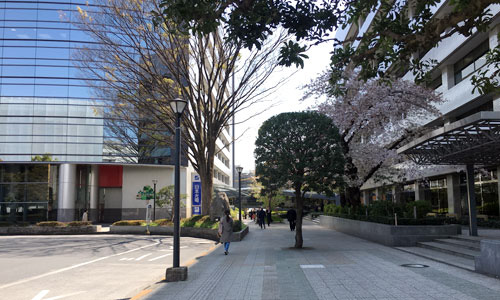 道のり1